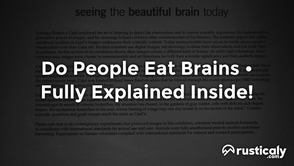 do people eat brains