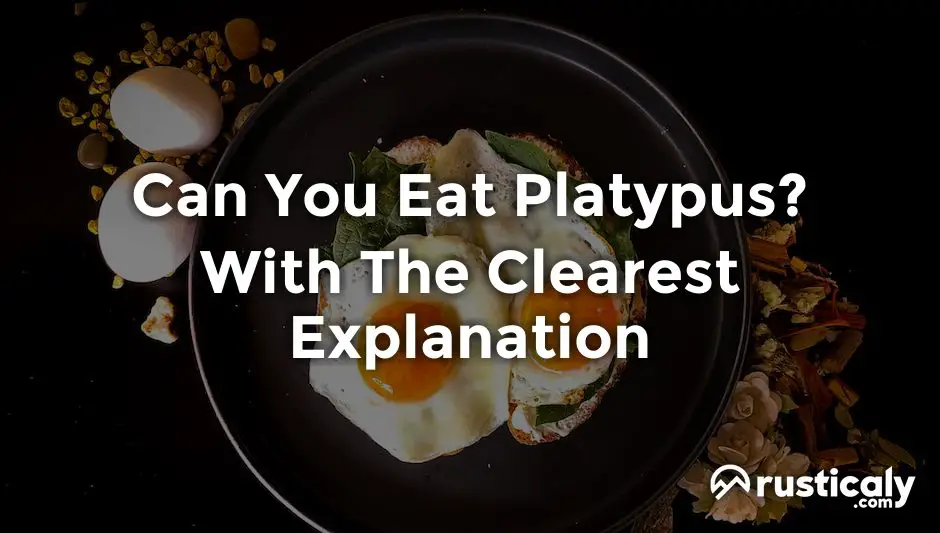 can you eat platypus