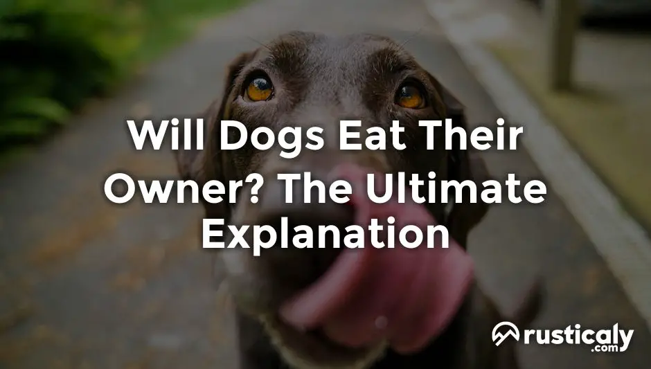 will dogs eat their owner
