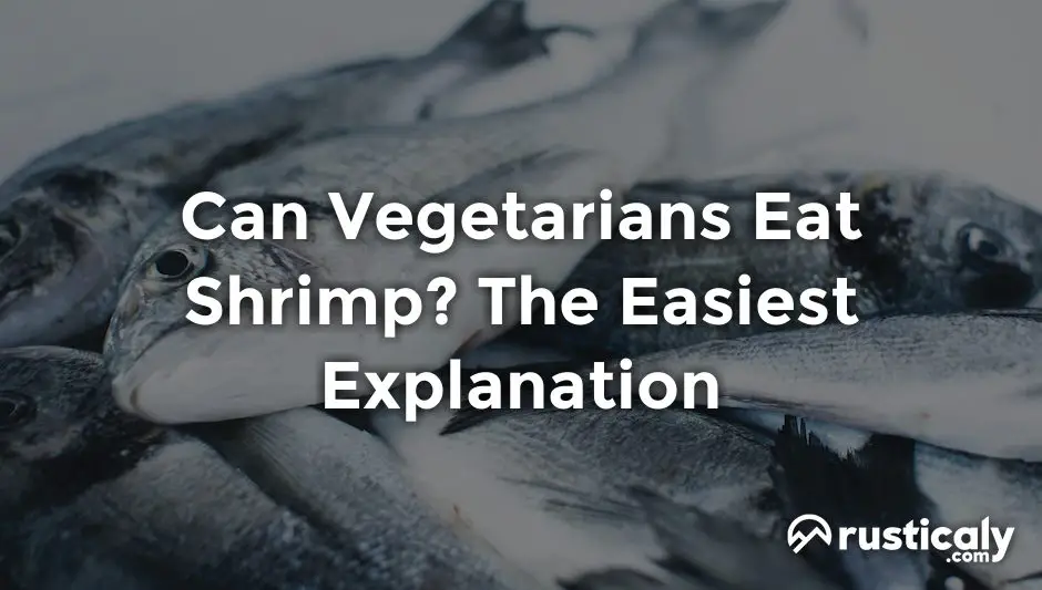 can vegetarians eat shrimp