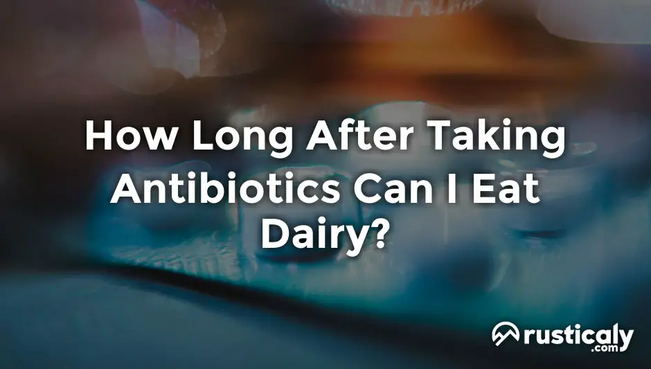 how long after taking antibiotics can i eat dairy