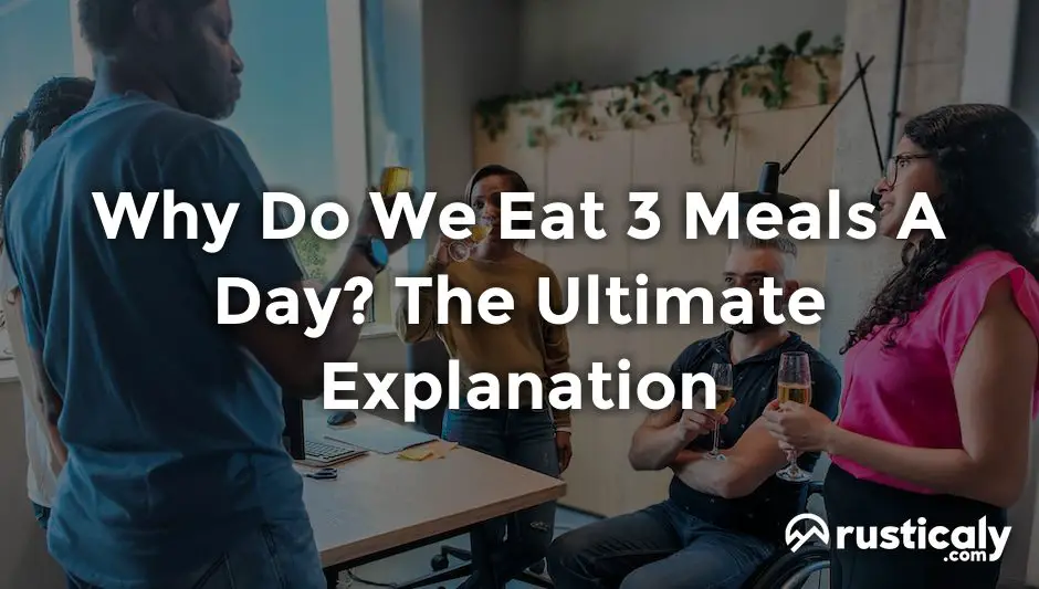 why do we eat 3 meals a day