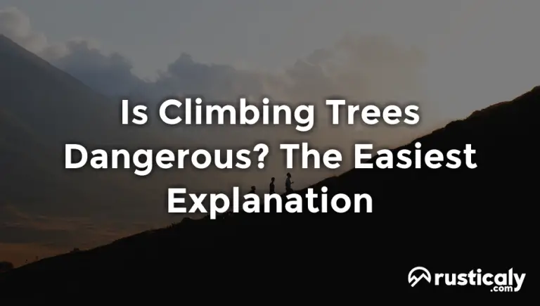 is climbing trees dangerous