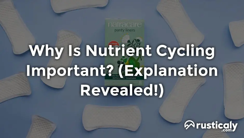 why is nutrient cycling important
