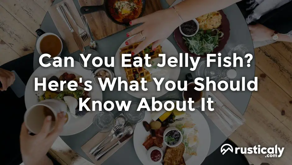 can you eat jelly fish