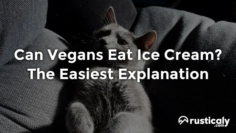 can vegans eat ice cream