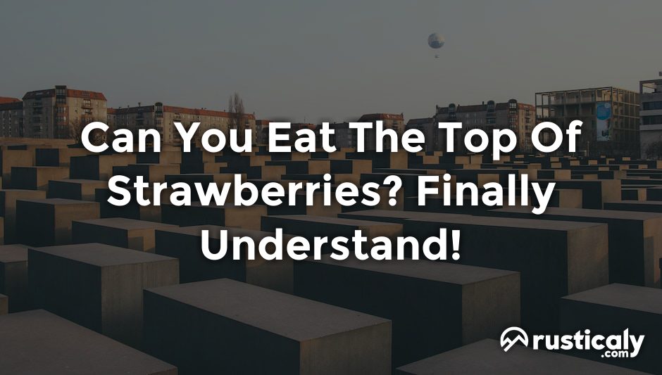 can you eat the top of strawberries
