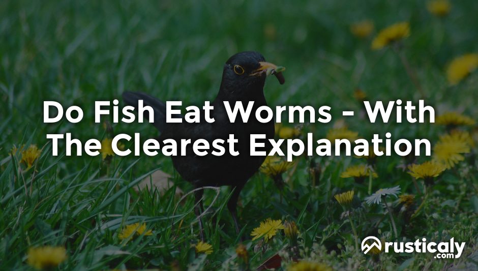 do fish eat worms