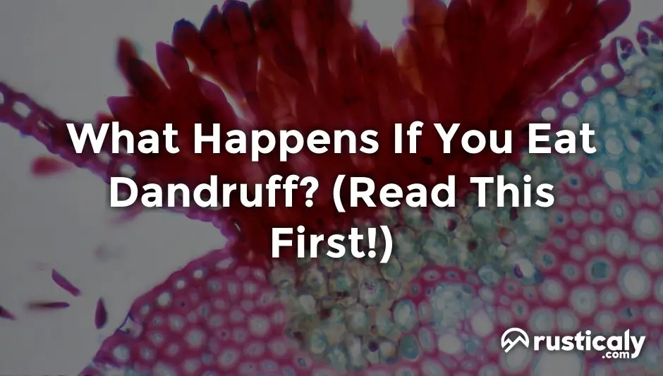 What Happens If You Eat Dandruff? The Best Explanation