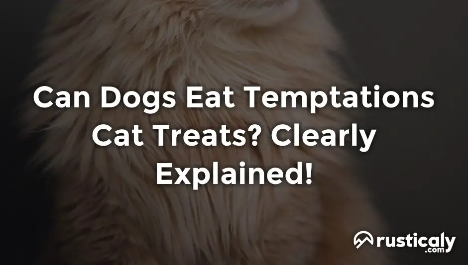 can dogs eat temptations cat treats