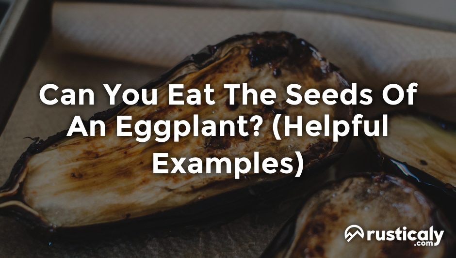 can you eat the seeds of an eggplant