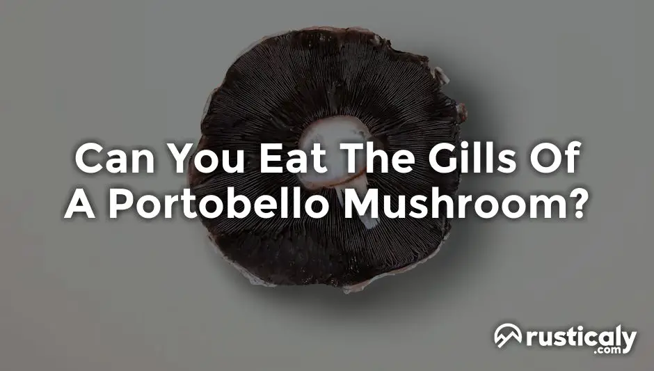 Can You Eat The Gills Of A Portobello Mushroom?