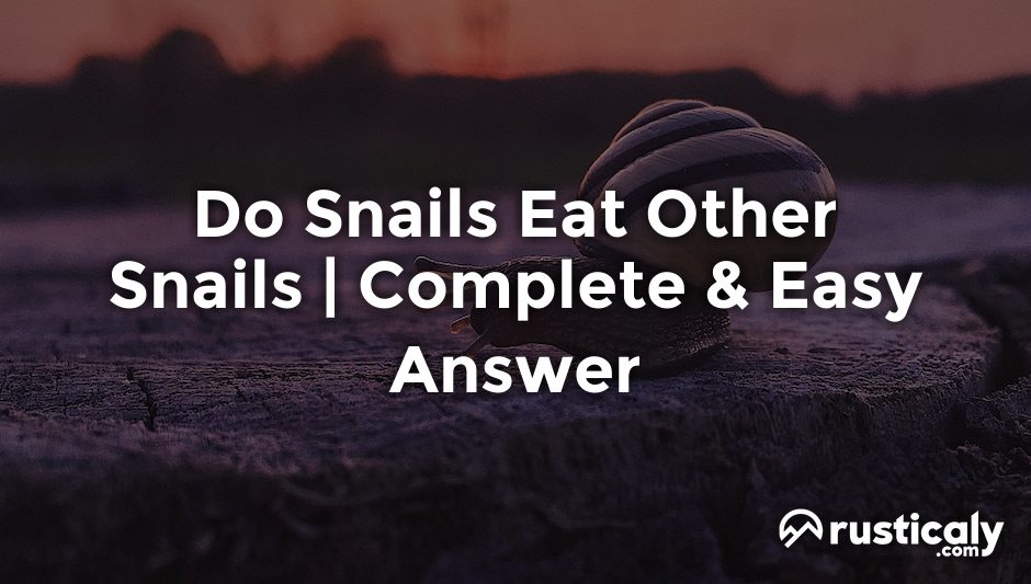 do snails eat other snails