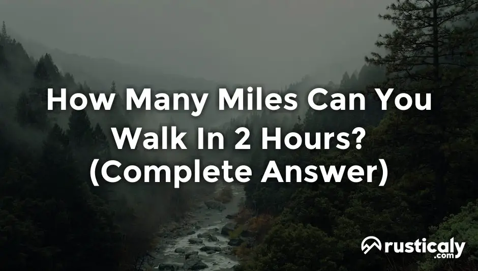how many miles can you walk in 2 hours