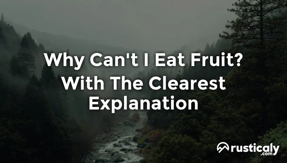 why can't i eat fruit