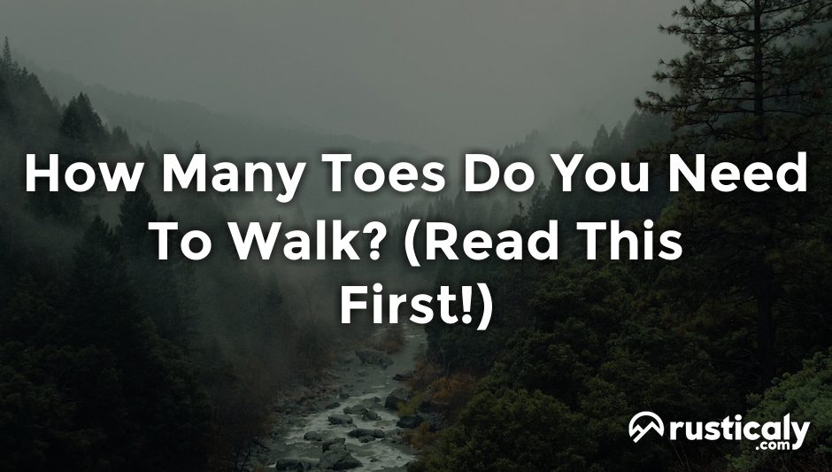 how many toes do you need to walk