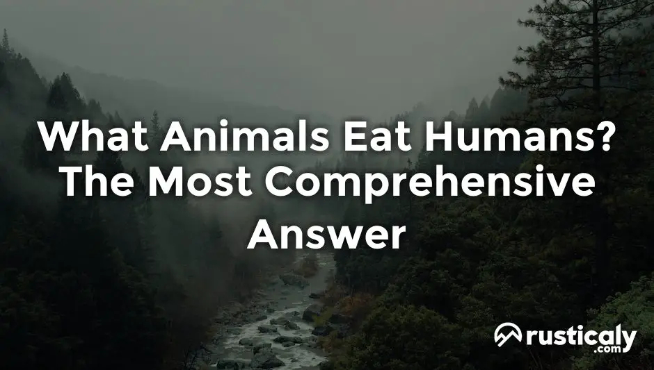 what animals eat humans
