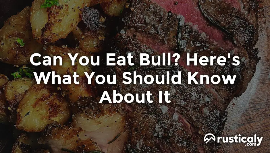 can you eat bull