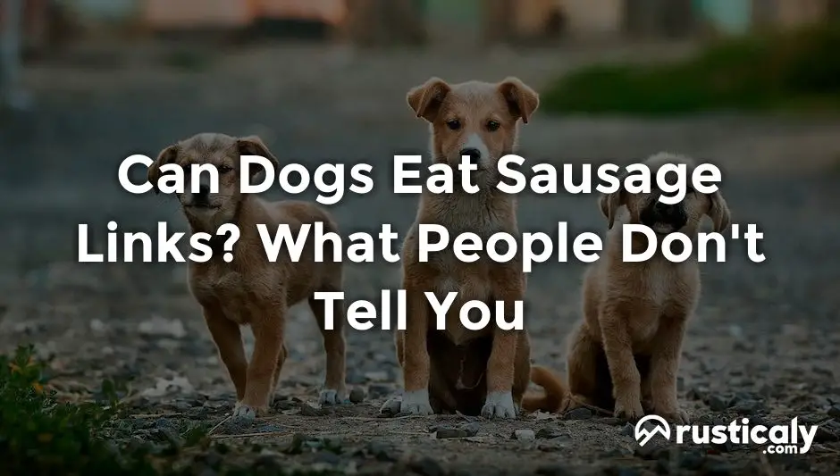 can dogs eat sausage links