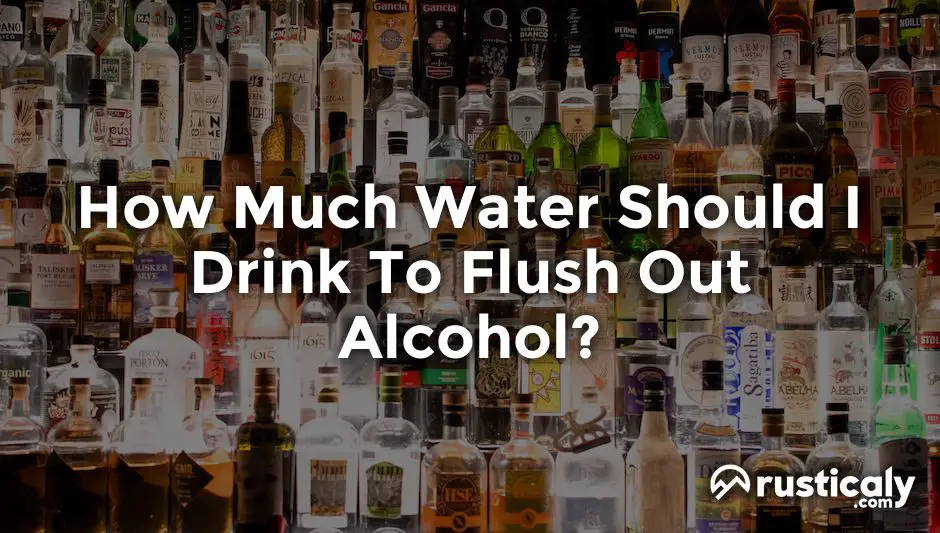 how much water should i drink to flush out alcohol