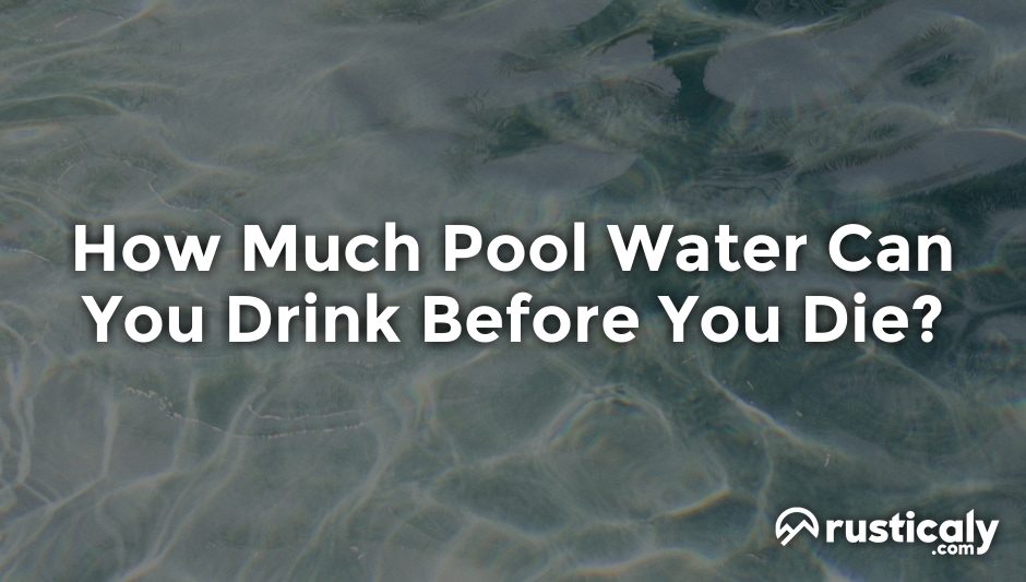 how much pool water can you drink before you die