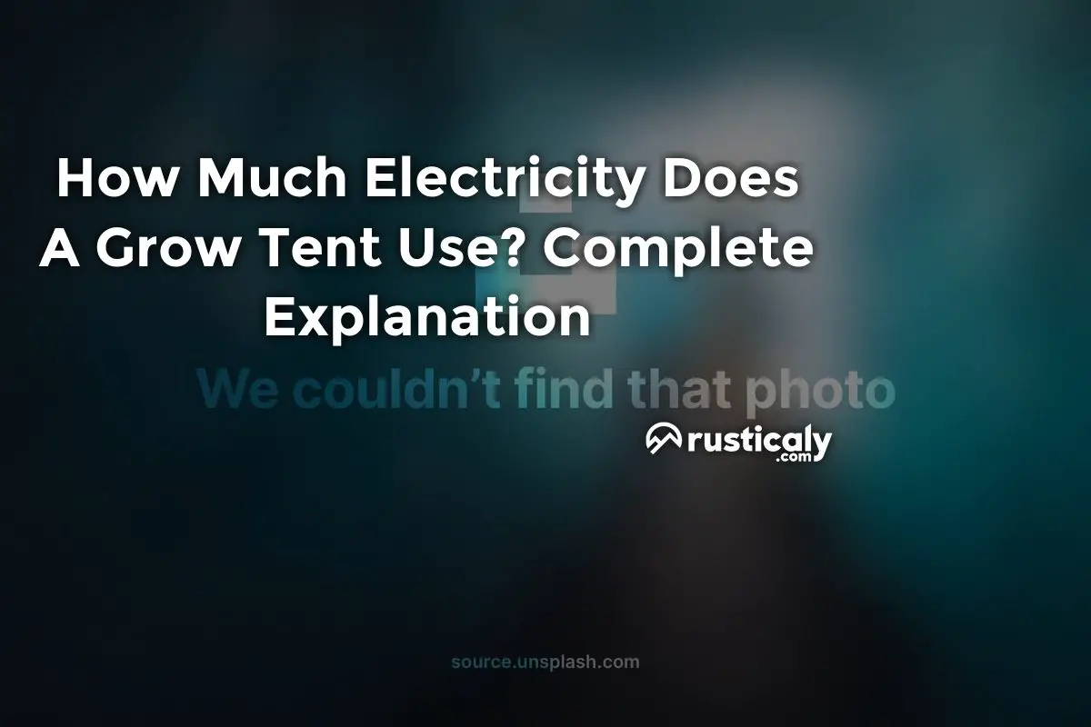 How Much Electricity Does A Grow Tent Use? Clearly Explained!