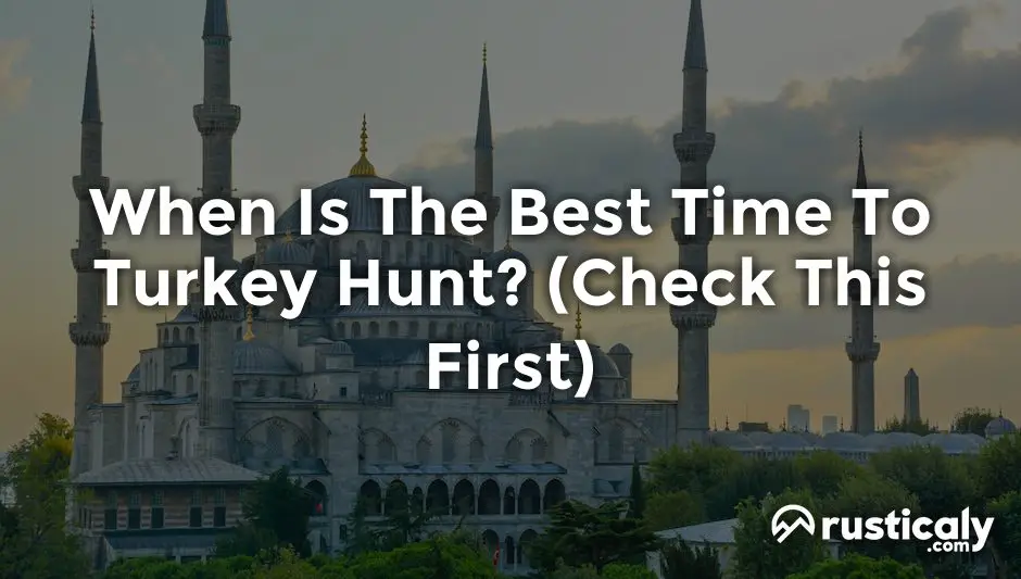 when is the best time to turkey hunt