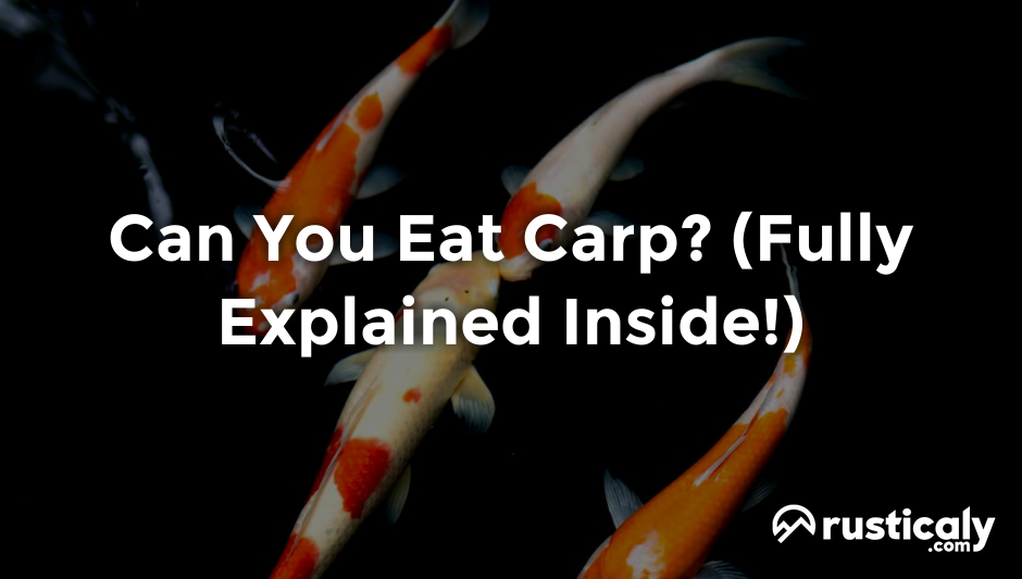 can you eat carp