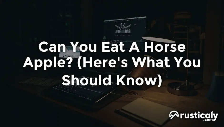 can you eat a horse apple