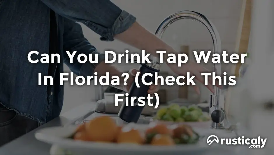 can you drink tap water in florida