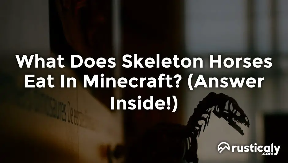 what does skeleton horses eat in minecraft