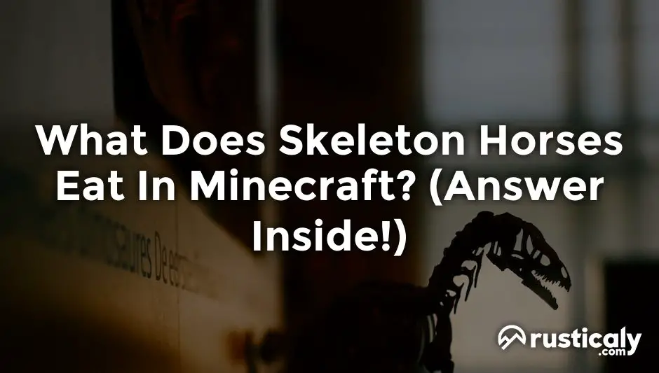 What Does Skeleton Horses Eat In Minecraft? Finally Understand!