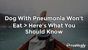 dog with pneumonia won't eat