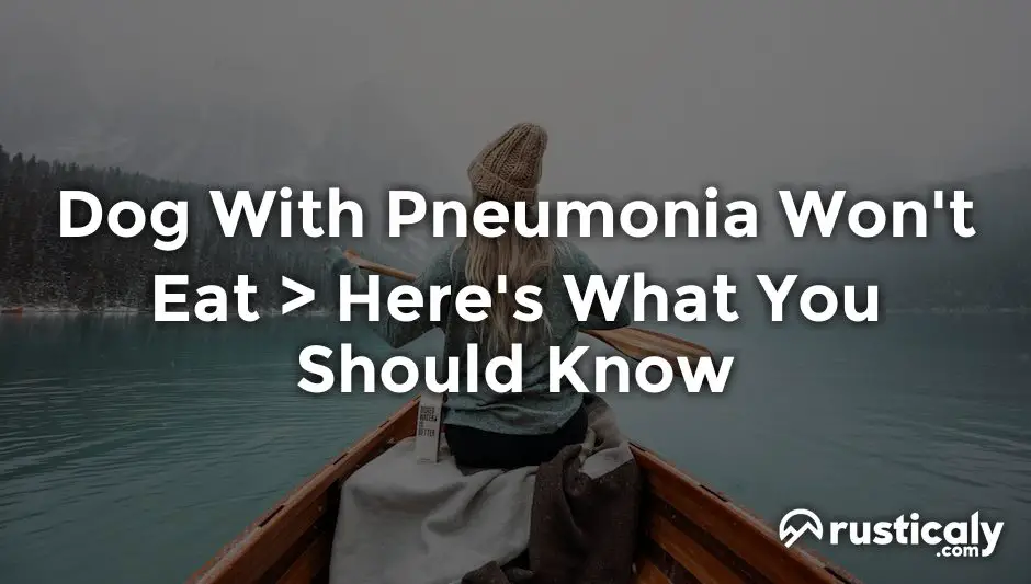 dog with pneumonia won't eat