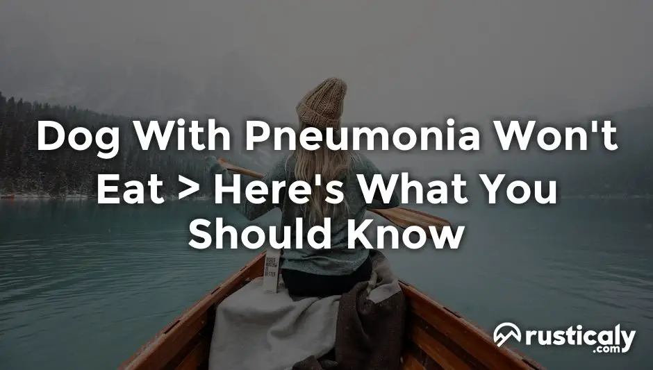 Dog With Pneumonia Won't Eat • What People Don't Tell You