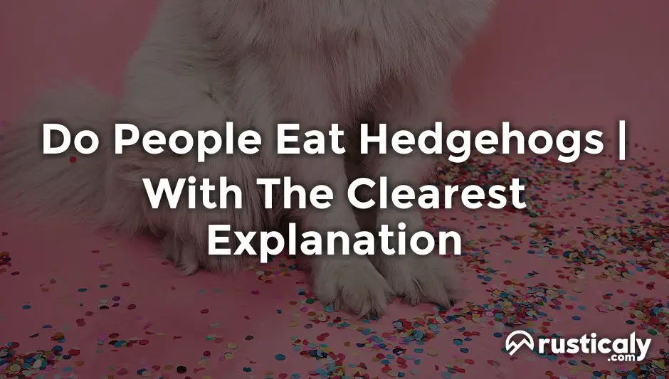do people eat hedgehogs