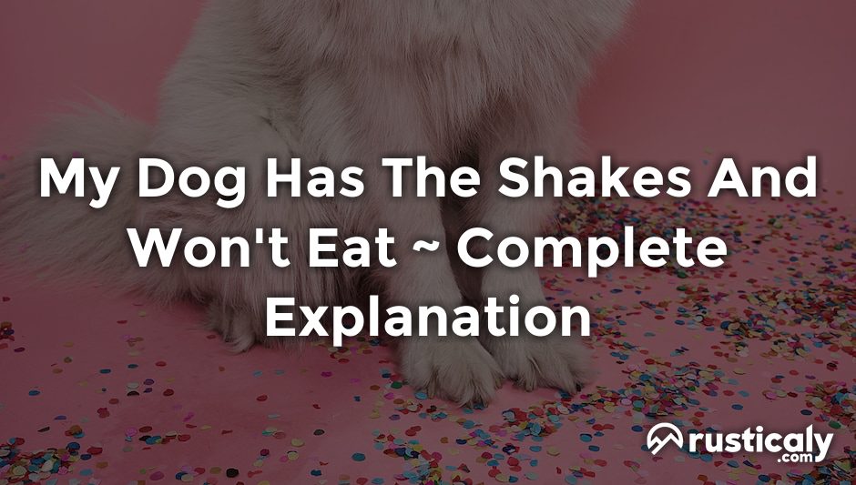 my dog has the shakes and won't eat