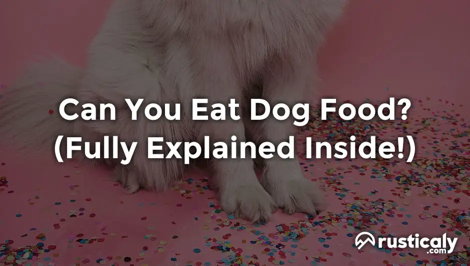 can you eat dog food