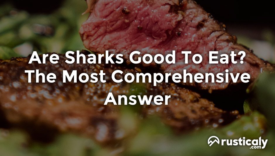 are sharks good to eat
