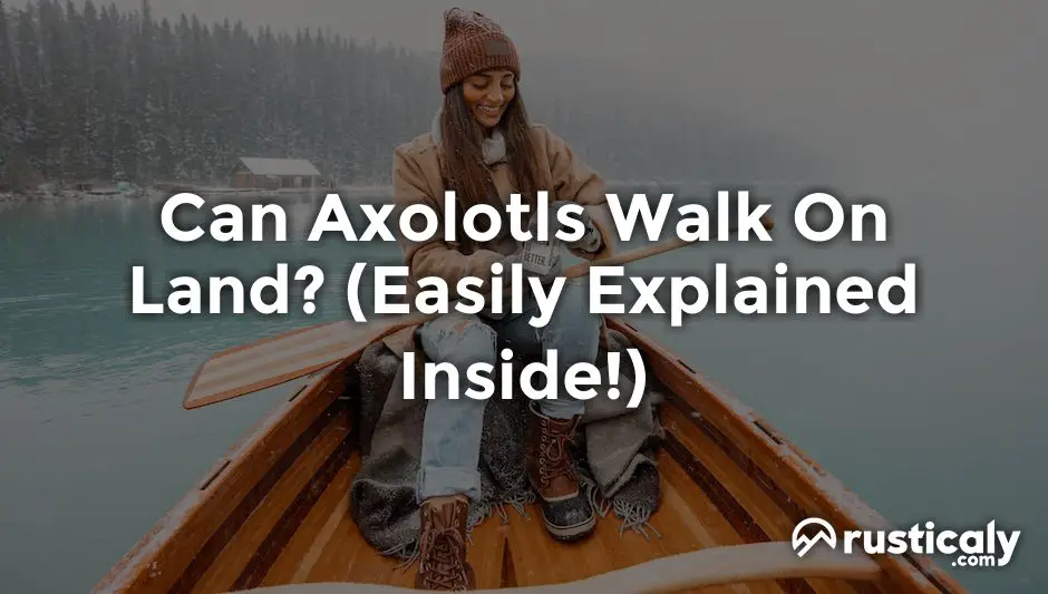 can axolotls walk on land