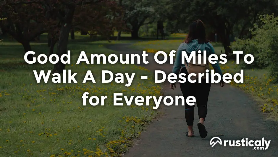 good amount of miles to walk a day