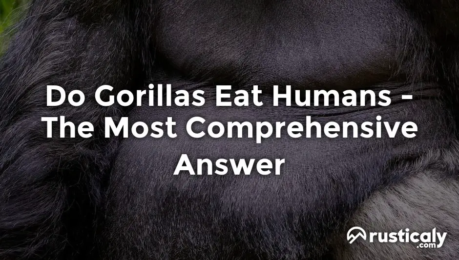 do gorillas eat humans