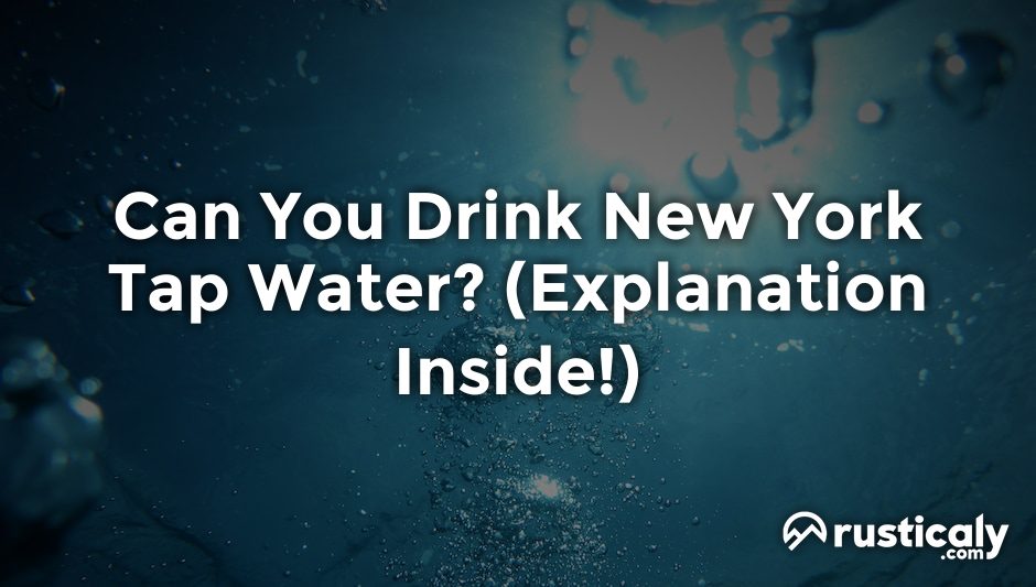can you drink new york tap water