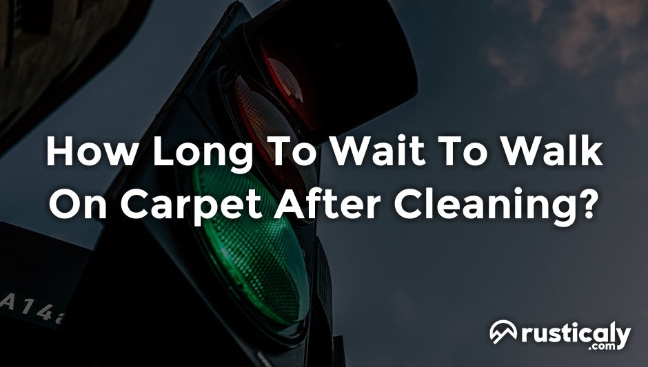 how long to wait to walk on carpet after cleaning