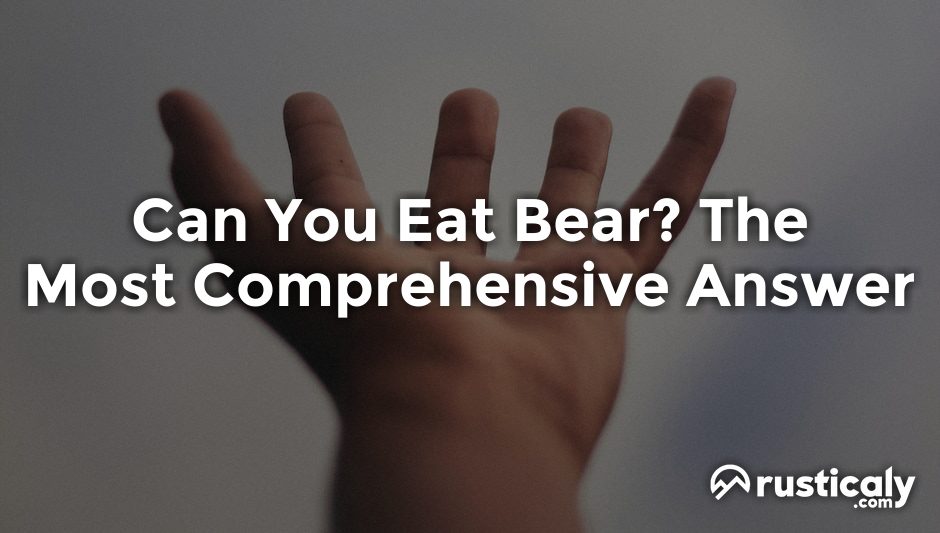 can you eat bear