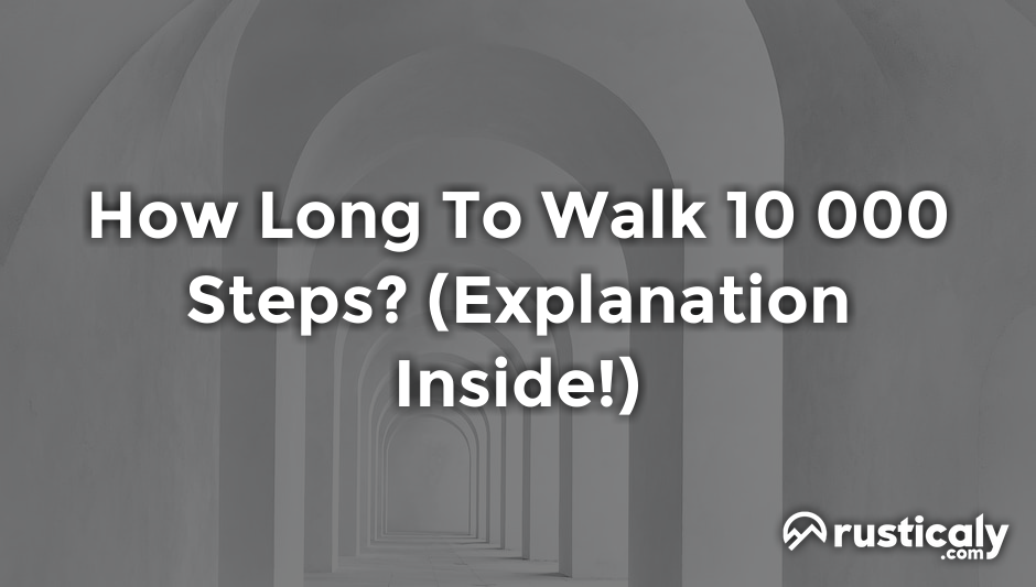 how long to walk 10 000 steps