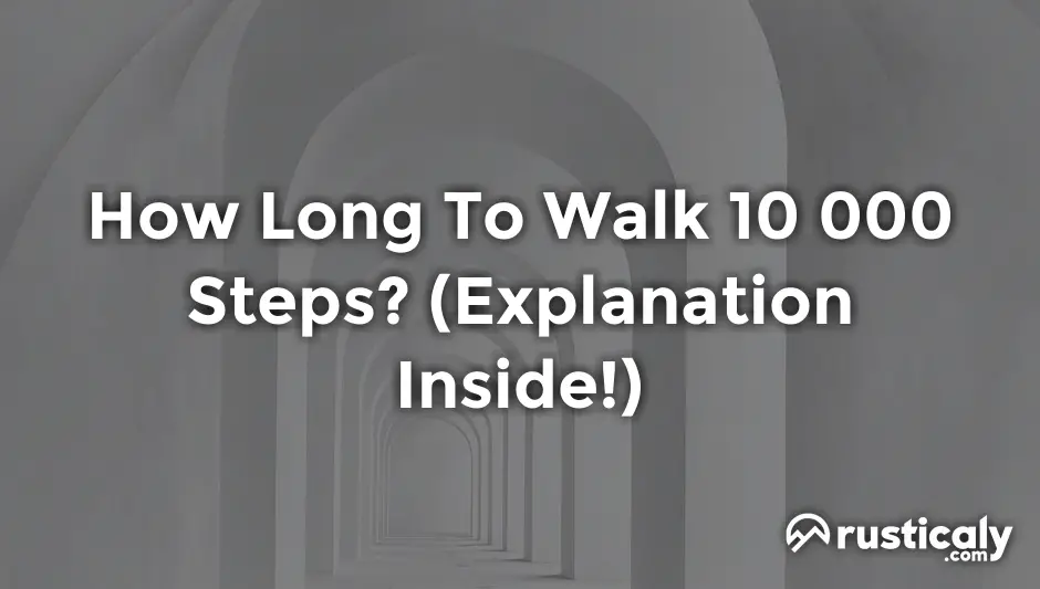 how long to walk 10 000 steps