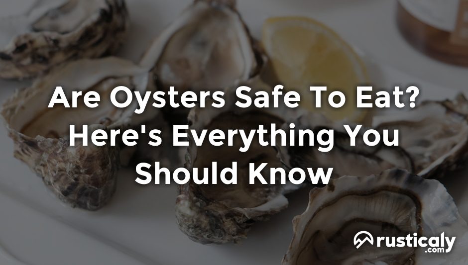 are oysters safe to eat
