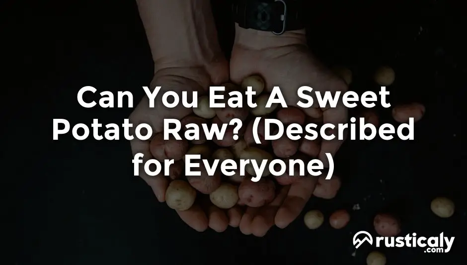 can you eat a sweet potato raw