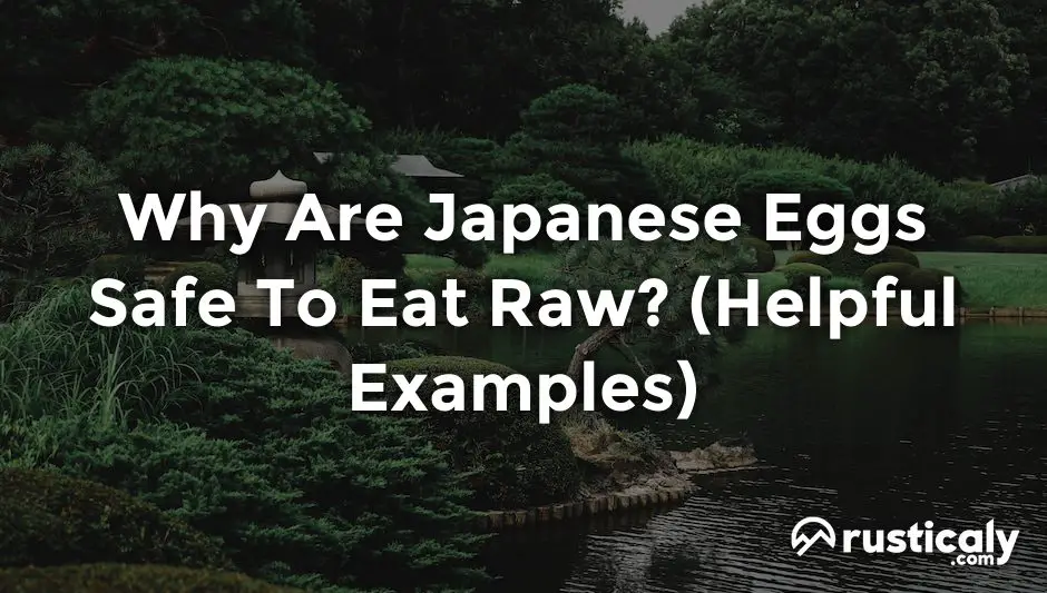 why are japanese eggs safe to eat raw